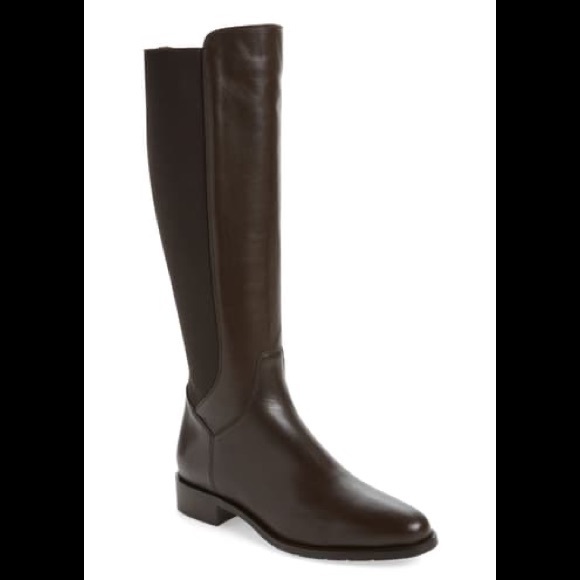 ariat waterproof paddock boots